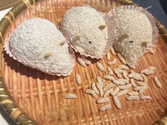 -点都德·毕德寮