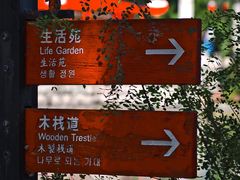 -黄帝陵