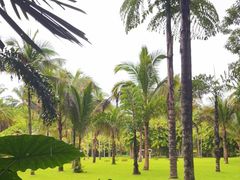 -中国科学院西双版纳热带植物园