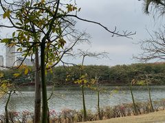 -厦门园林博览苑