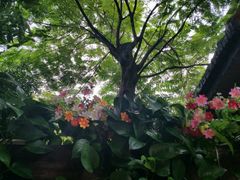 -三亚千古情景区游客中心-接待中心