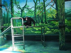 -宁波野生动物园