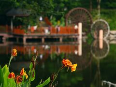 -重庆彩云湖湿地公园