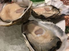 -Oyster Talks 四度蚝法餐厅