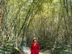 -开平碉楼文化旅游区马降龙景区