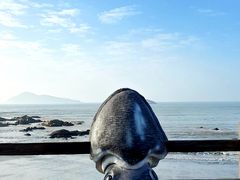 -沙扒湾