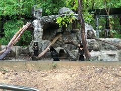 -清迈夜间动物园