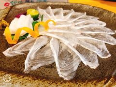 比目鱼薄切刺身-渔藤(万柳东路店)
