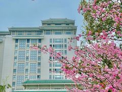 -武汉大学-樱园