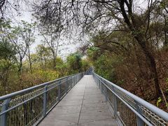 -佛山华盖山公园