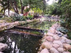 -成都市活水公园