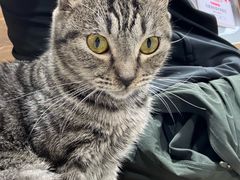 -杭嘉湖咬强羊肉面馆(永兴路总店)