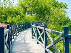 -南京市江宁方山