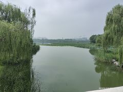 -大兴滨河森林公园