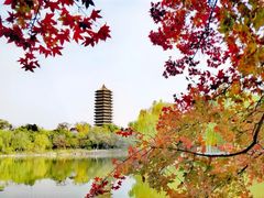 -石老人观光园