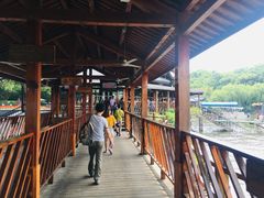 -天目湖山水园