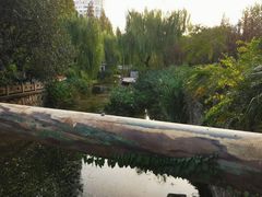 -兰溪青年公园