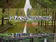 -黄海国家森林公园