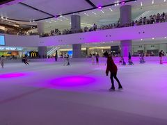 -TheRink大零溜冰场(IFS国金中心店)