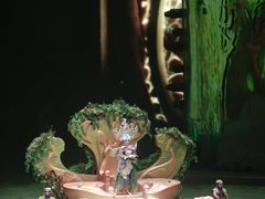 -广州长隆国际大马戏