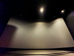 -金逸影城(武汉人信汇IMAX店)