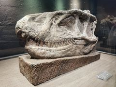 -自贡恐龙博物馆