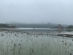 -顺峰山公园