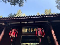 -成都武侯祠博物馆