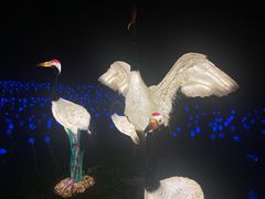 -杭州野生动物世界