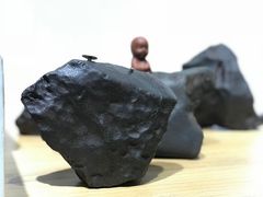 -志强陨石馆(双季花艺店)