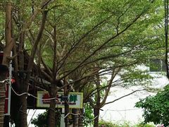 -三亚火车头万人海鲜广场