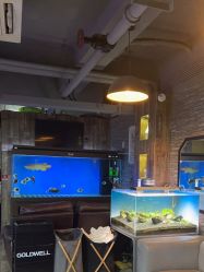 -青木造型HAIR·あおき髪を刈る潮人店