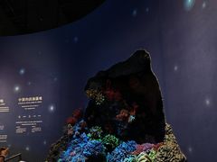 -中国湿地博物馆