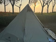 -春花秋色城市公园