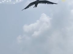 -蓬莱仙岛