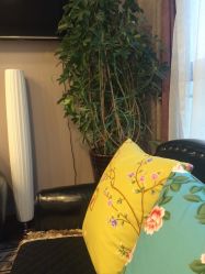 -scarlet斯卡莱美容护理机构