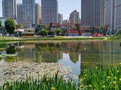 -花果园湿地公园
