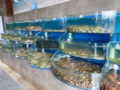 水产区-蓝珊甄选海鲜自助·火锅大排档(近阿那亚店)