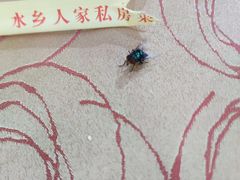 -水乡人家私房菜(逢简店)