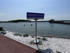 -南大港湿地风景区