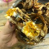 连着三天开车来虾搞 值得你去