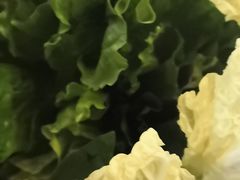 -探窝·竹笙椰子鸡(杨箕店)