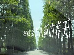 -窦圌山风景区
