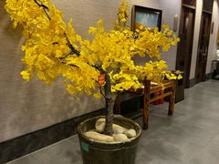 -西北人家莜面村(建设店)