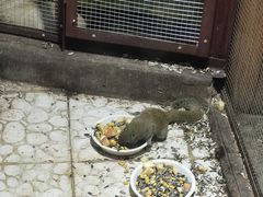 -上海大自然野生昆虫馆(东方明珠·爬宠昆虫探索中心)