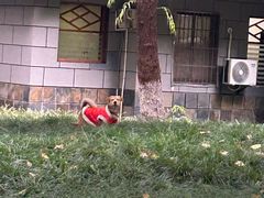 -杭州城北体育公园