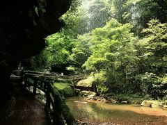 -碧峰峡风景区