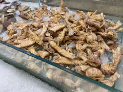-九寸花汀(摩天活力城店)