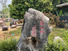 -中国科学院西双版纳热带植物园