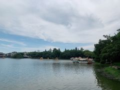 -海上田园